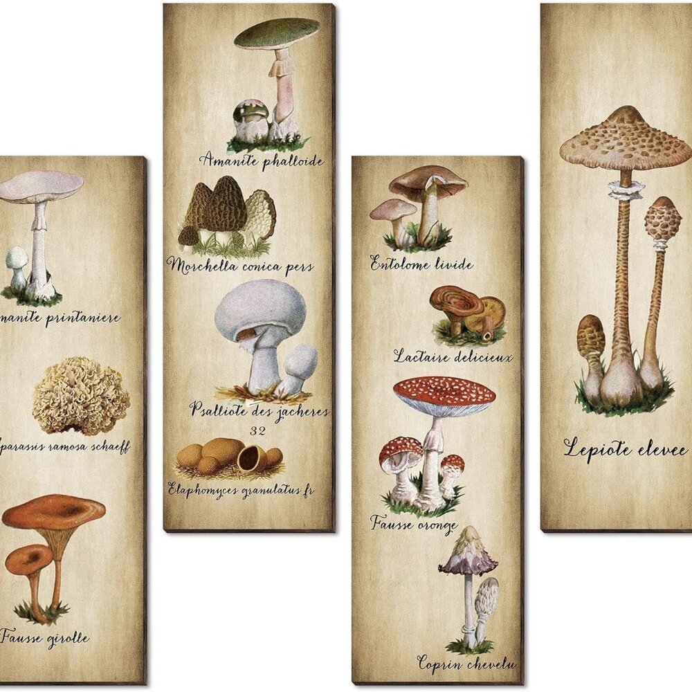 4 Pack Mushroom Wall Decor Vintage Wooden Art Sign Rustic Mushroom Kitchen Decor